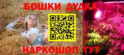 спиды Канаш