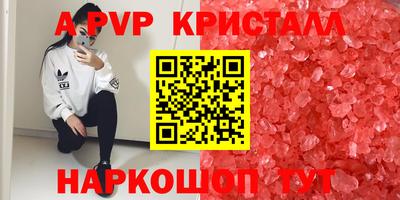 спиды Канаш