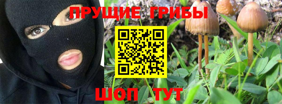 Галлюциногенные грибы Magic Shrooms  Вход с VPN  Галлюциногенные грибы Magic Shrooms  Красноярск 