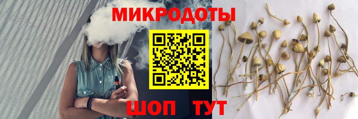 Псилоцибиновые грибы прущие грибы Красноярск